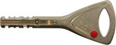 Abloy Cut Key